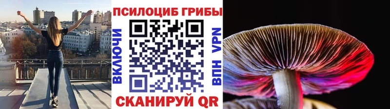 закладка  Берёзовский  Галлюциногенные грибы ЛСД 